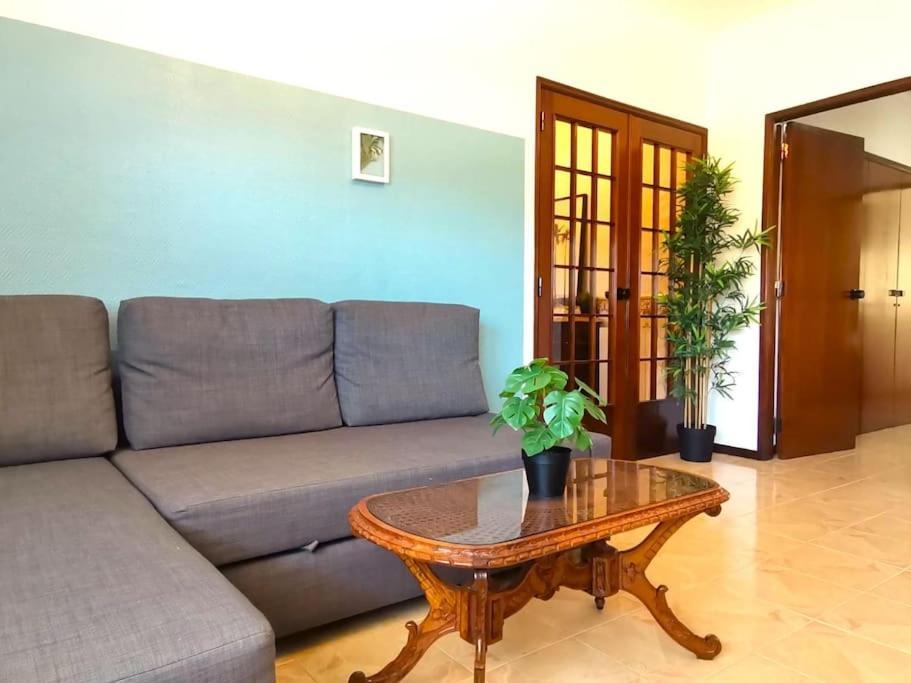 Mountain View Beach House كوستا دا كاباريكا المظهر الخارجي الصورة